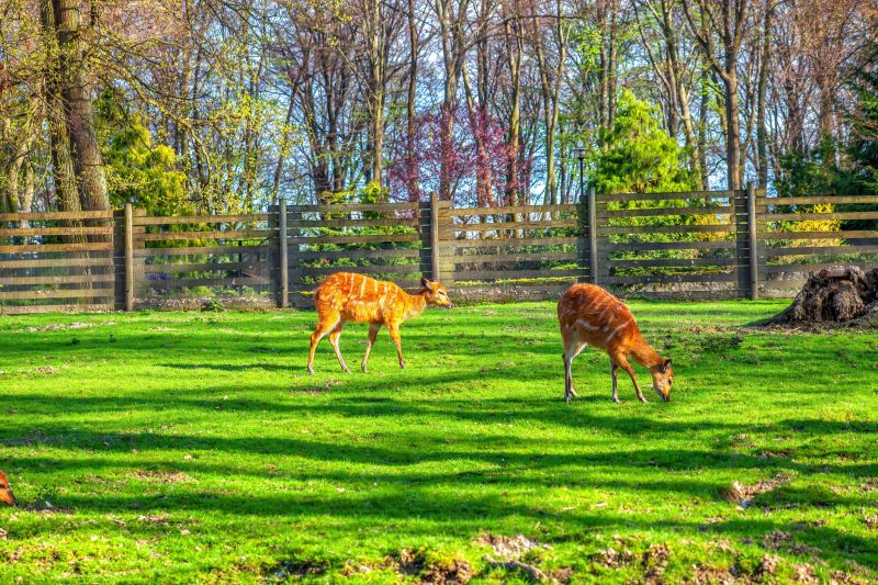 Deer Fence Installation