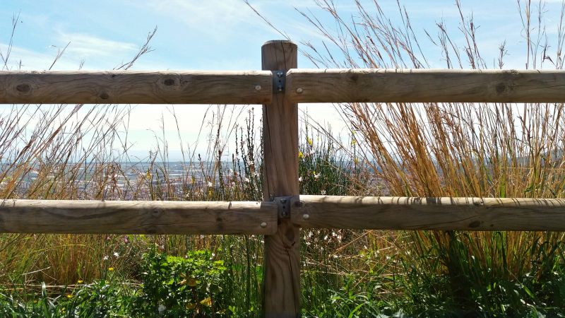 New Fence Installation